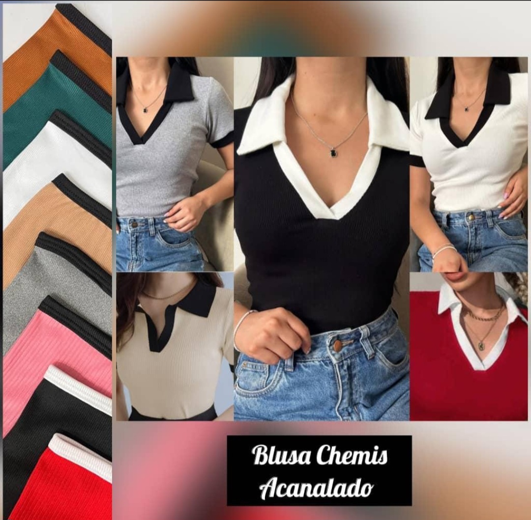 Blusa chemi